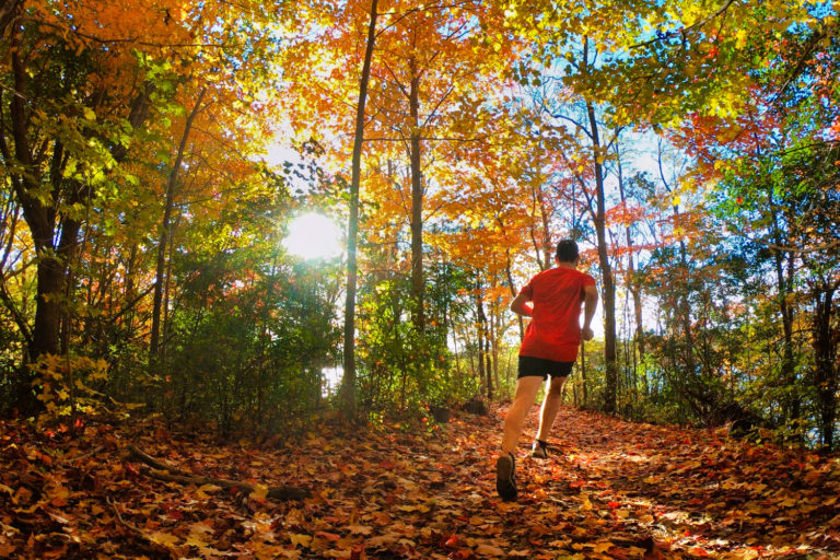 Running autumn