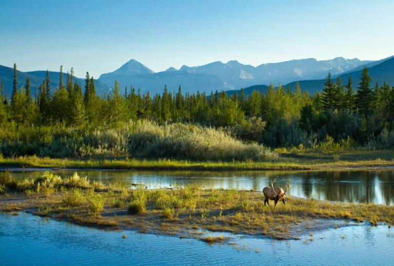 Elk mountains