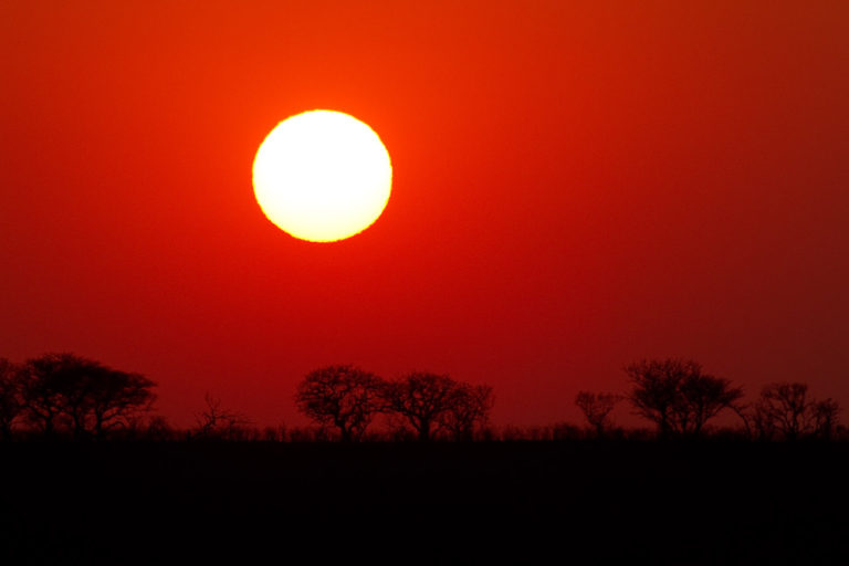 African sunrise red trees