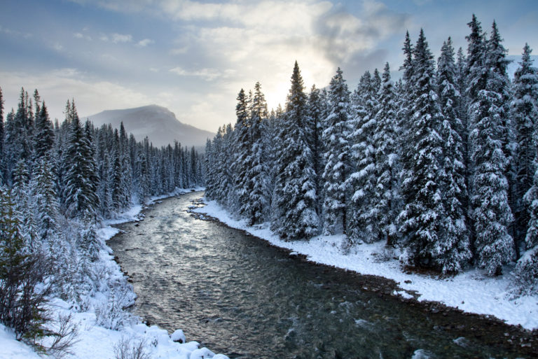 mountain river trees snow