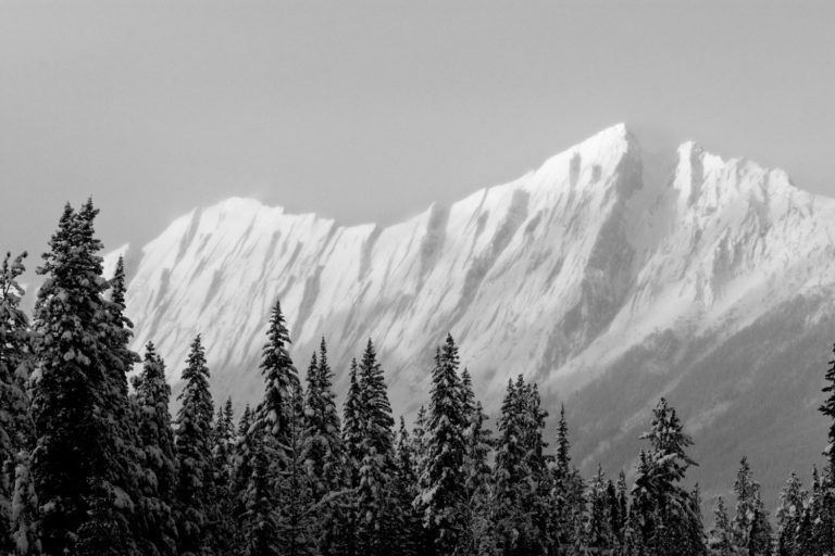 Black and white mountains trees snow