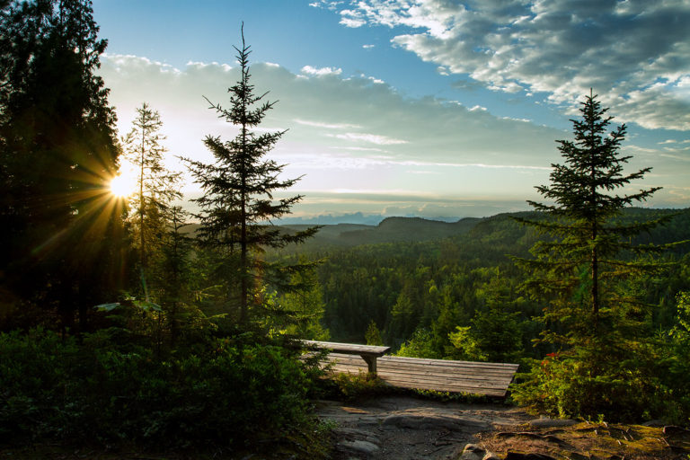 sunset trees clouds bench