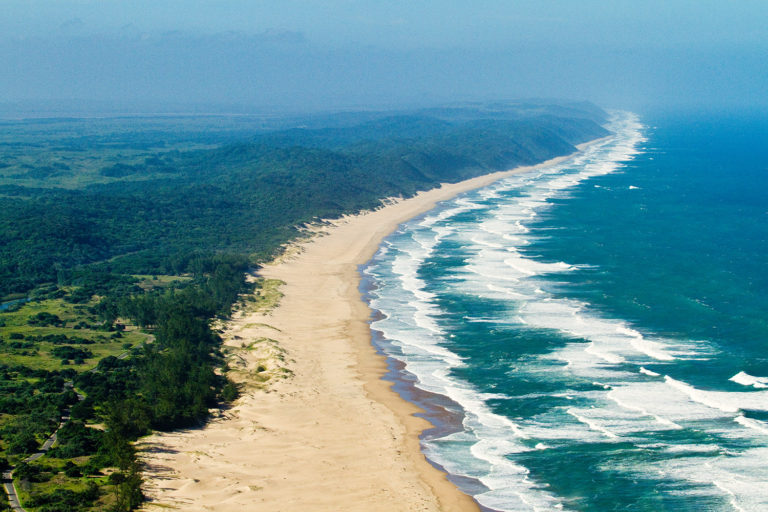 Beach aerial ocean forest park