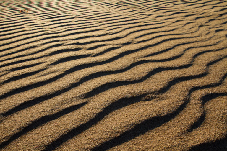 beach sand