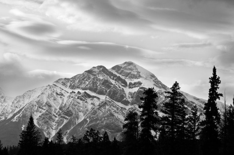 Black and white mountain trees