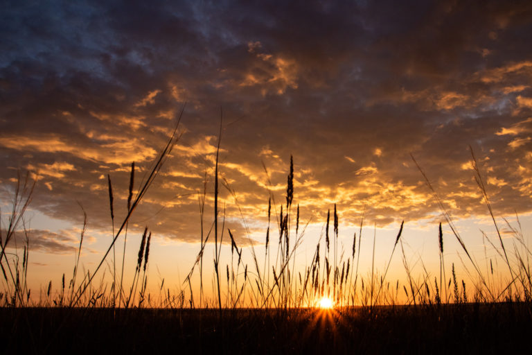 sunrise grass clouds