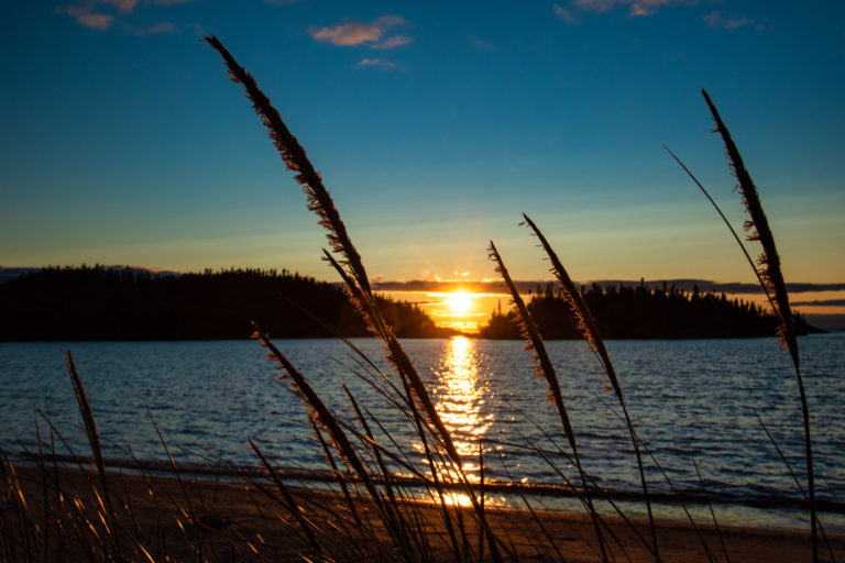 sunset lake grass