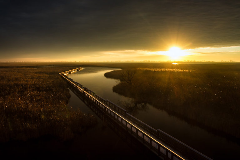 sunrise boardwalk marsh