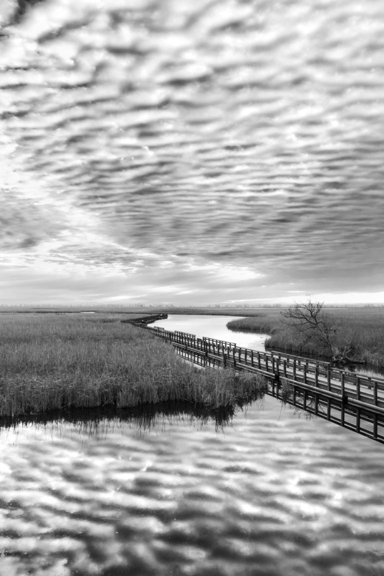 Black and white clouds boardwalk