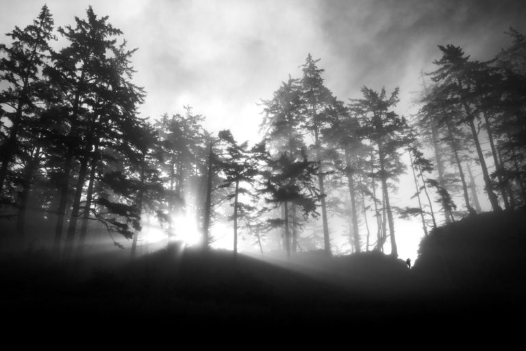 Hiking black and white sunrise fog