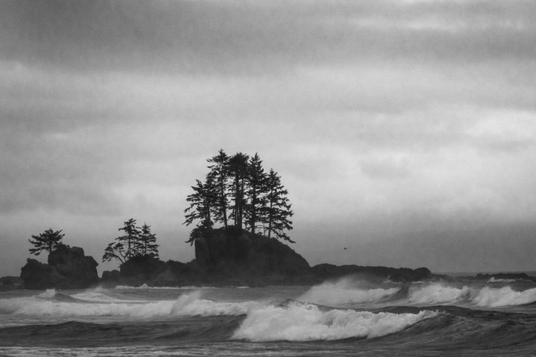 Black and white ocean waves