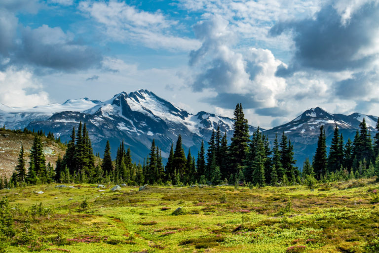 mountain trees clouds