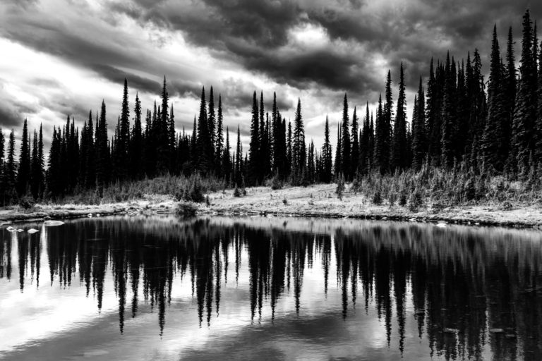 Black and white lake trees reflections