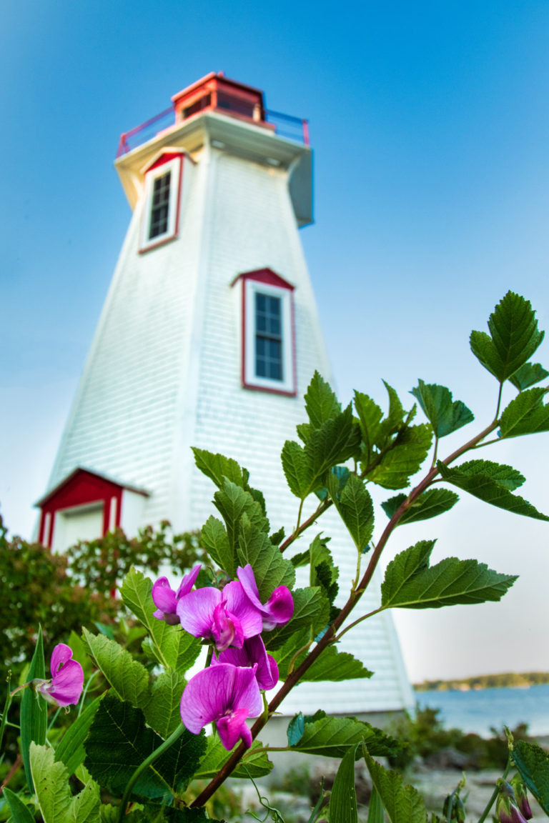 lighthouse flower blue sky