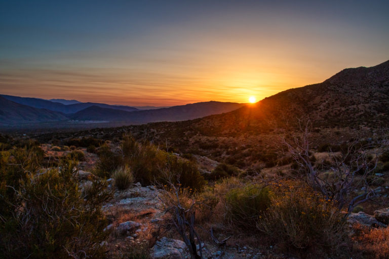 desert sunrise