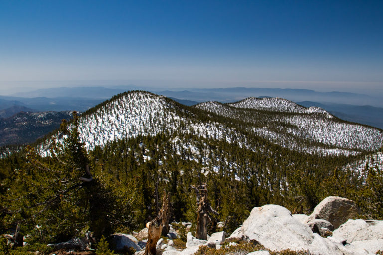 desert mountains snow forest