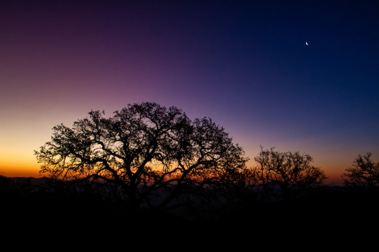 desert sunrise silhouette moon