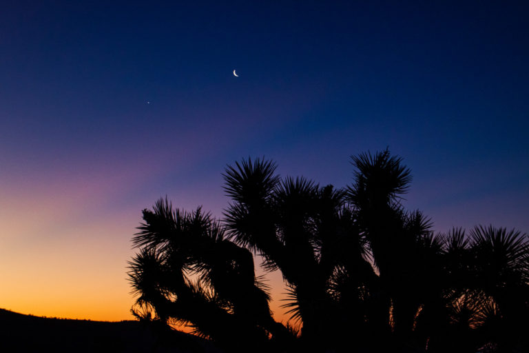 desert sunrise joshua tree moon