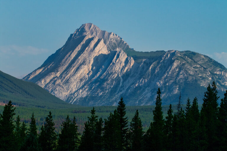 mountain forest