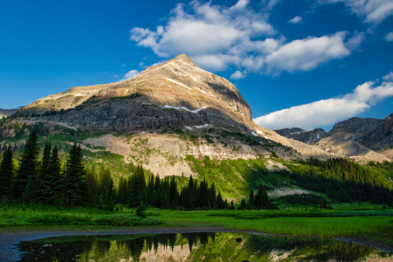 mountains forest sunrise