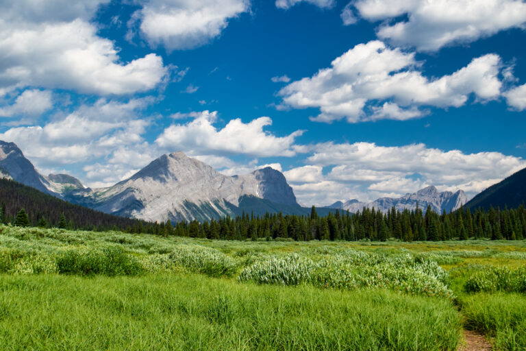 mountains meadow clouds