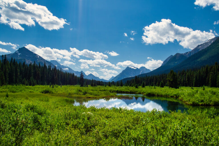 mountains meadow lake