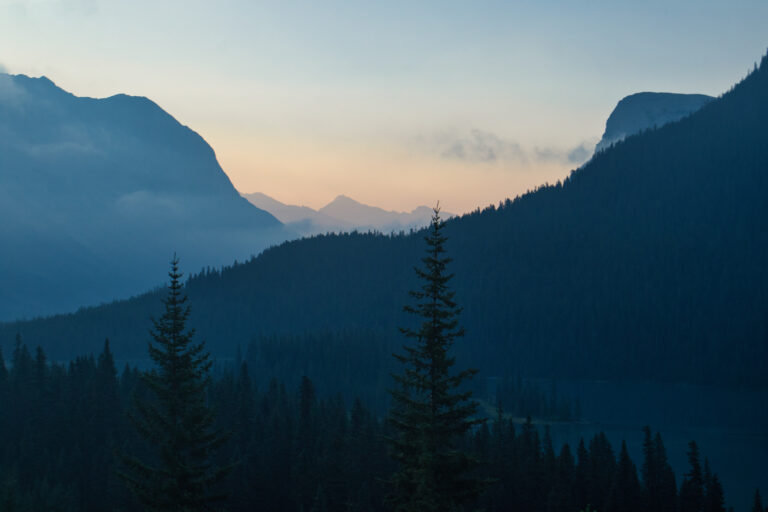 forest mountains