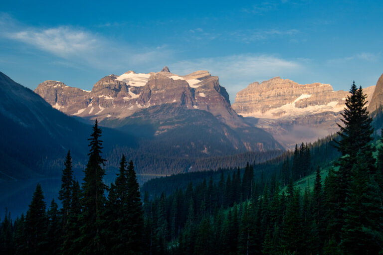 mountains forest