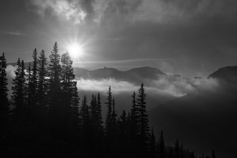 mountains trees sunrise