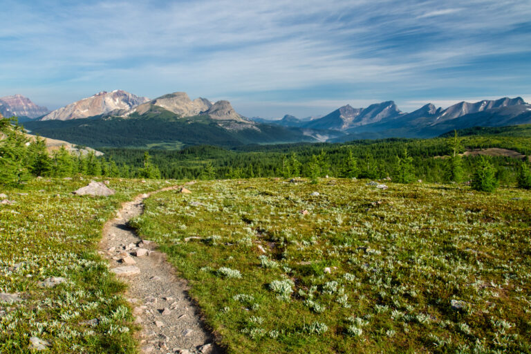 trail mountains