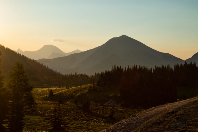 mountains forest