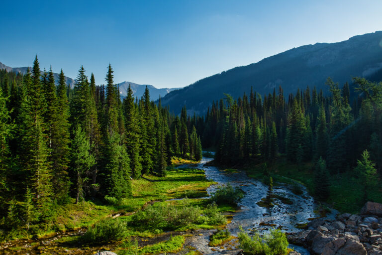 forest river mountains