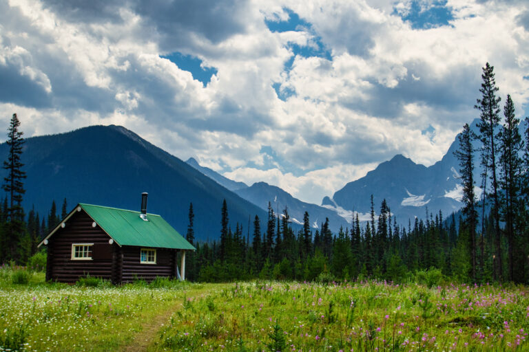 cabin forest mountains