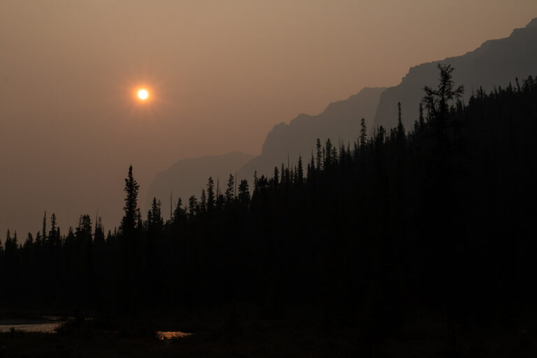 forest mountains sunrise