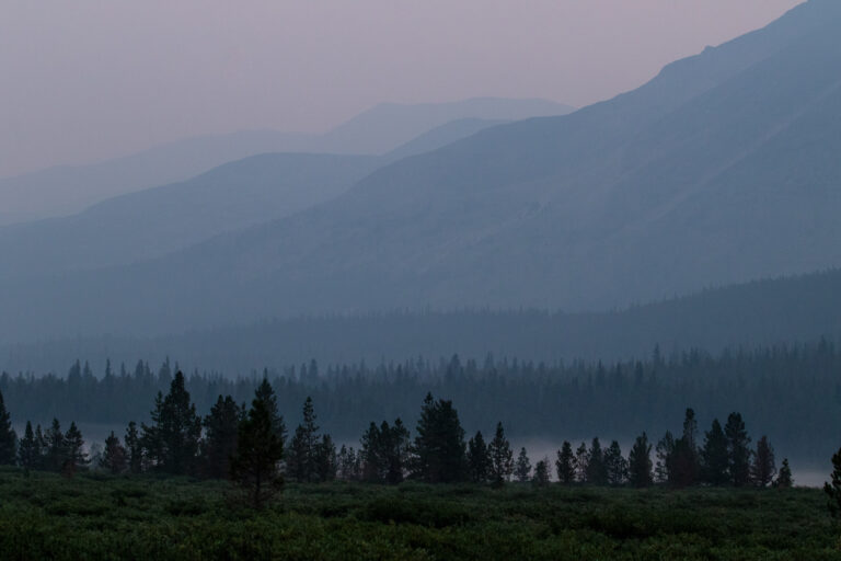 forest mountains