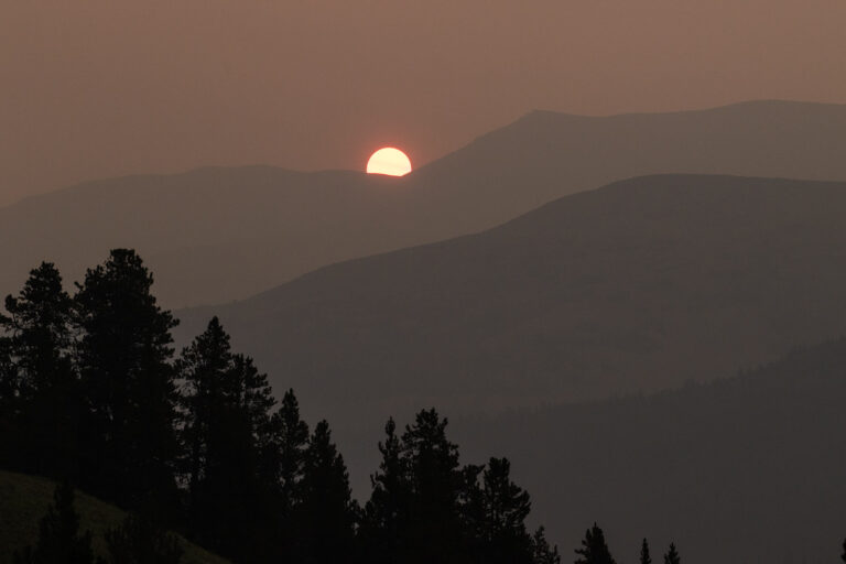 forest mountains sunrise