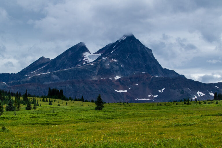 mountains meadow