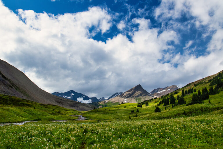 meadow mountains sky