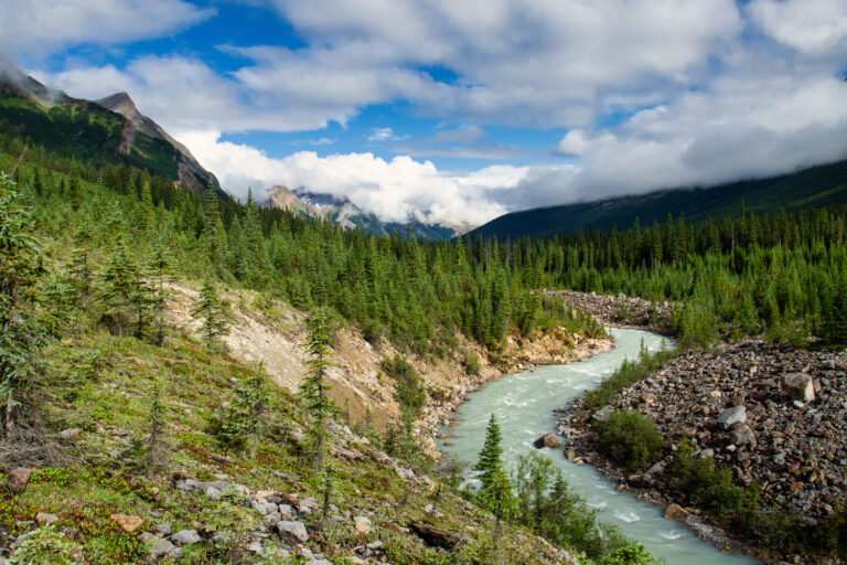 river mountains forest