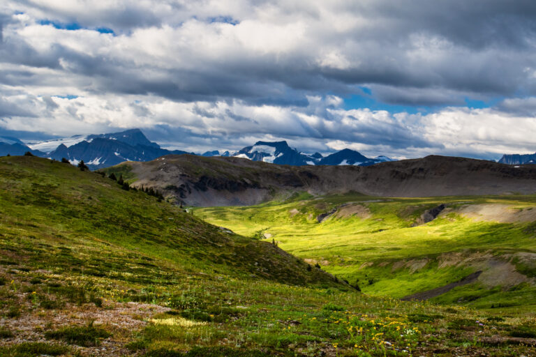 mountains meadow