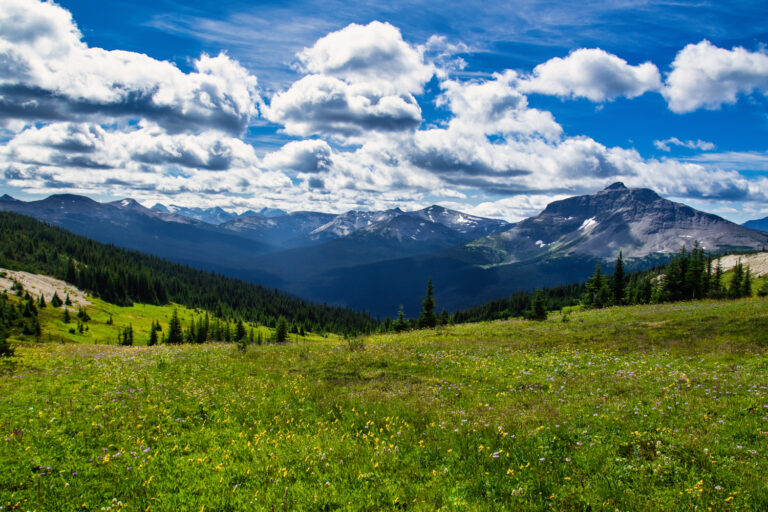 mountains meadow clouds