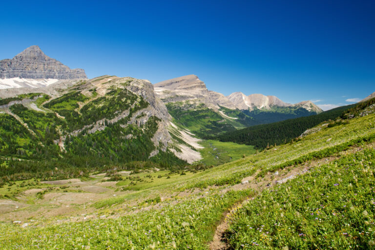 trail mountains